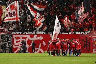 仙台七夕爆料最新消息